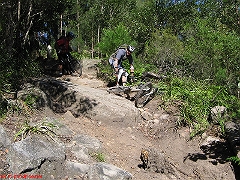 20070520-Bulli 079